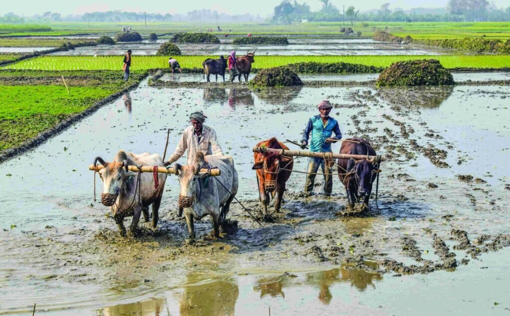 यूपी की मुख्यमंत्री कृषक समृद्धि योजना में लघु-सीमांत किसानों को 6 लाख तक का ऋण 6% ब्याज पर मिलेगा। जानें पात्रता, अनुदान और ऋण अवधि।